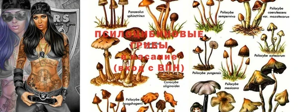 COCAINE Вяземский