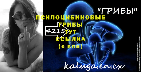 а пвп мука Вязьма